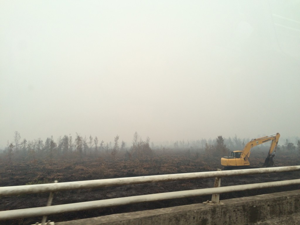 This should be forest. But now, it's burnt, smoldering peatland - miles and miles of it. Somewhere between Banjar and Pky. The President ordered the military to dig canals to get water in - that is what the excavator is supposed to be doing... 