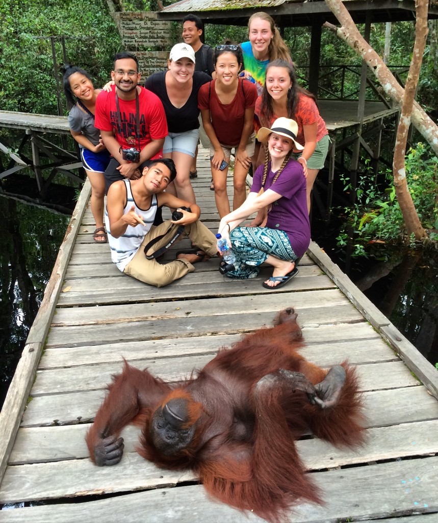 Siswi, the orangutan, couldn't hang with our crew :D